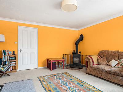 Picture 7